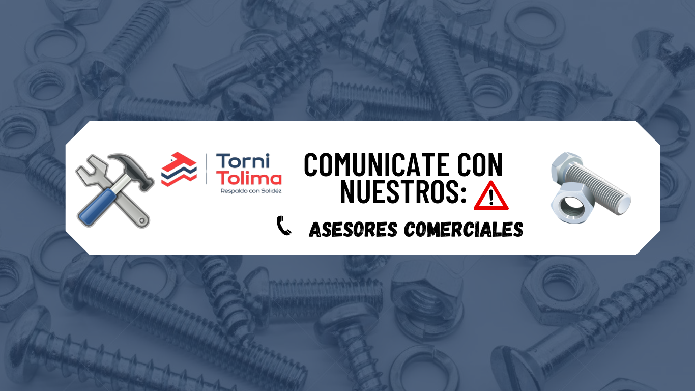 tornitolima.com